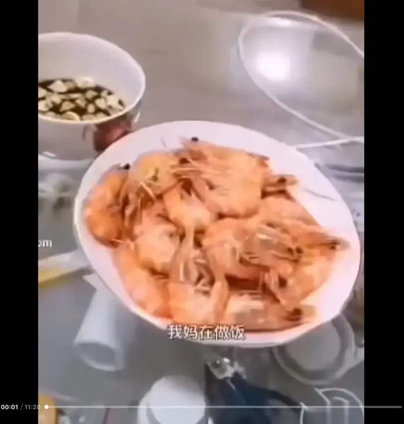 《大虾母子厨房完整版》高清视频百度夸克迅雷网盘资源 - 猎奇视频大虾母子厨房揭开梗的神秘面纱 - 来龙去脉一看就明白免费在线看